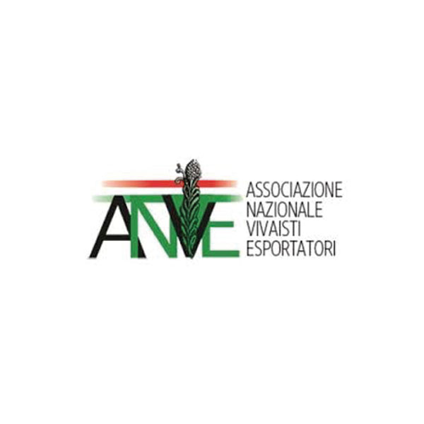 anve