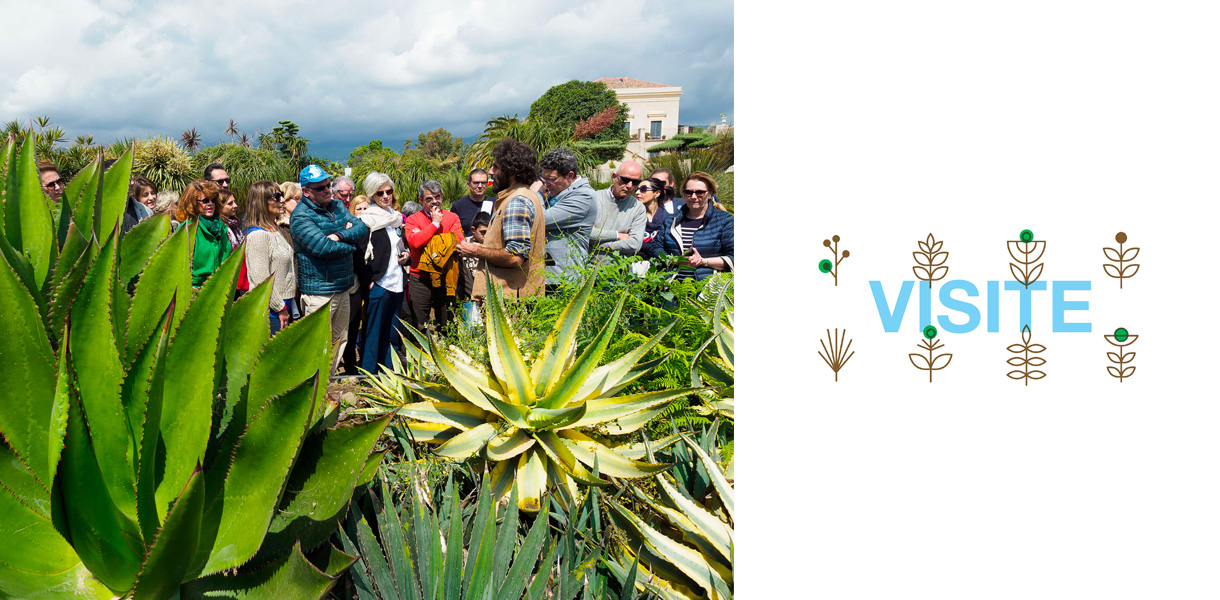 Slide_VisiteBIG2