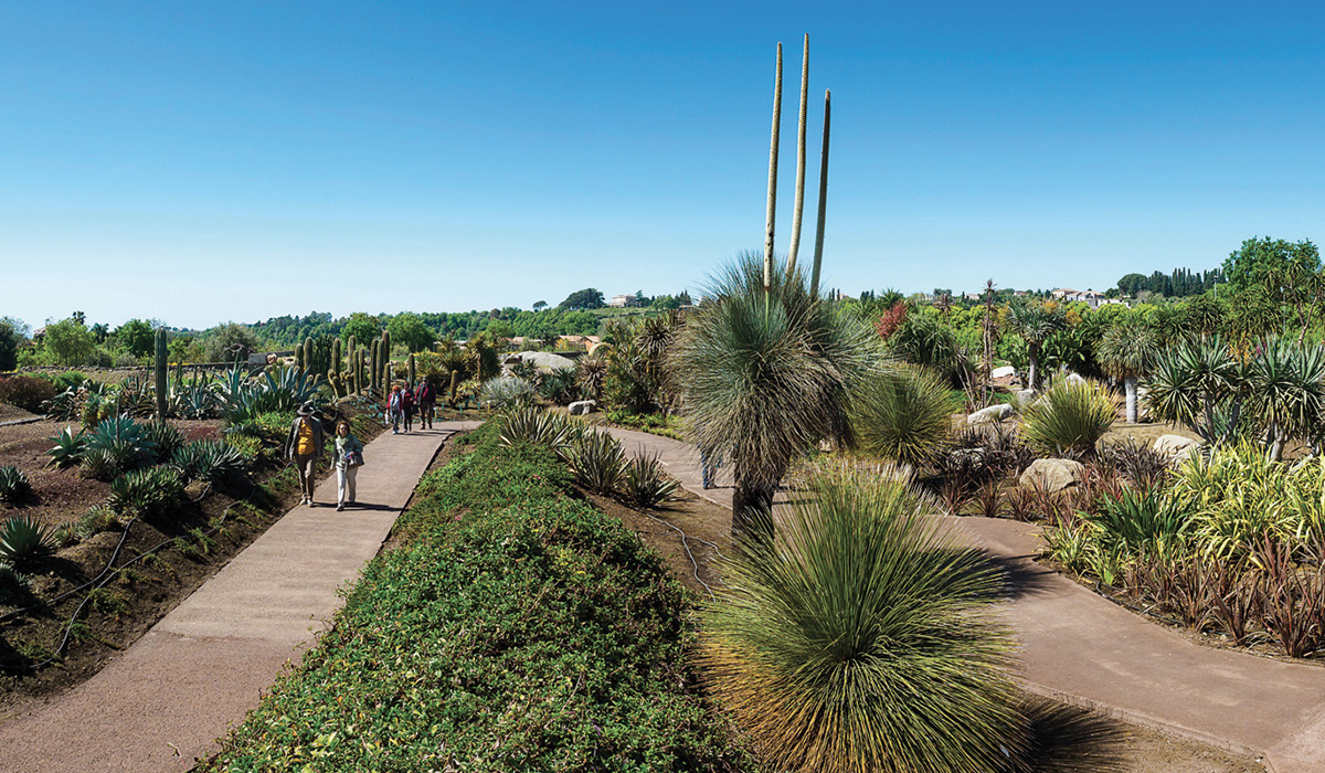 Il Parco Botanico Fondazione Radicepura