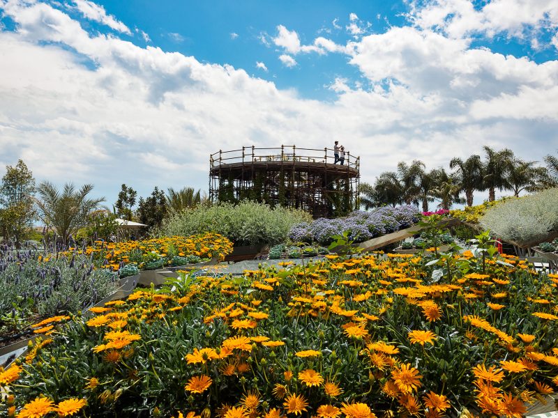 Radicepura Garden Festival 2019. 12 Maggio 2019